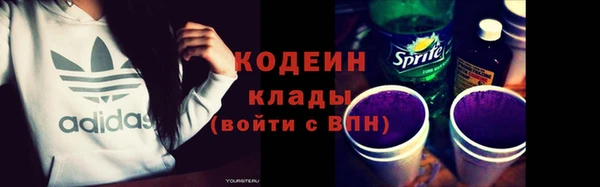 гашик Инта