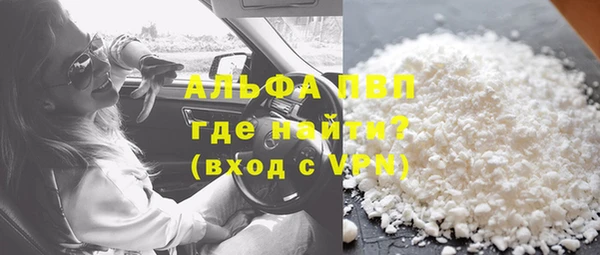 гашик Инта