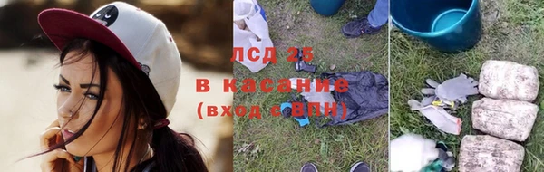 гашик Инта