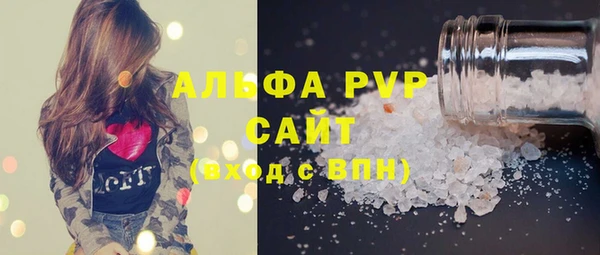 гашик Инта