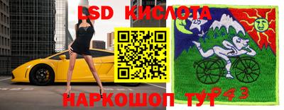 дмт Нальчик
