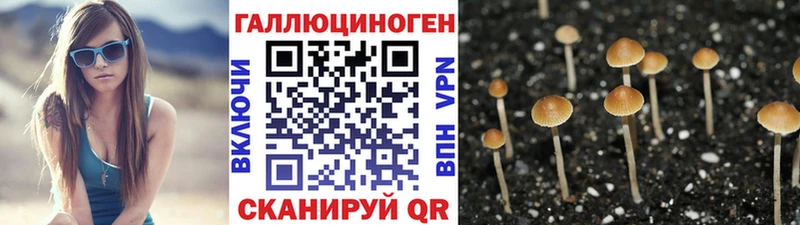 купить закладку  сайты даркнета Telegram  Псилоцибиновые грибы мухоморы  Отрадный 