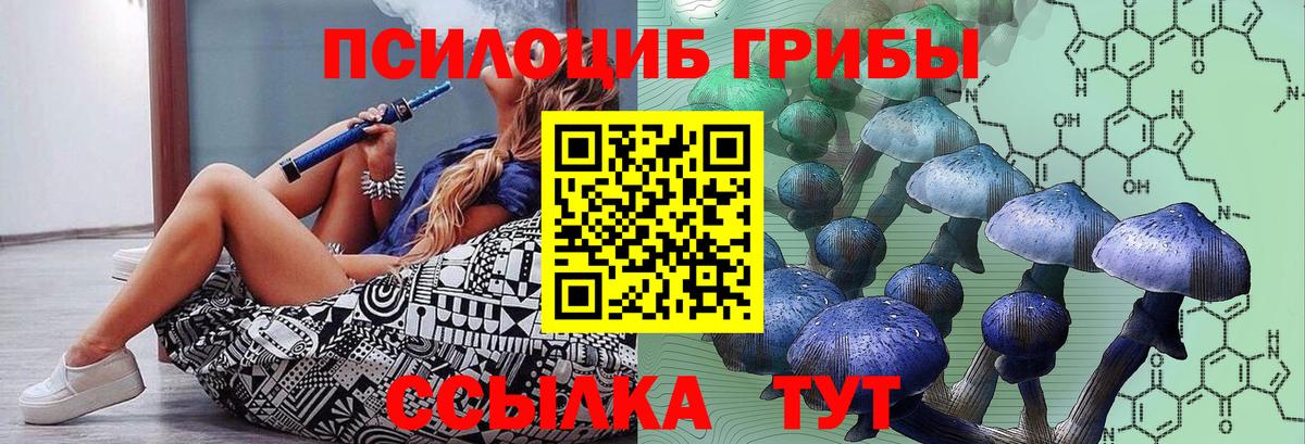 Галлюциногенные грибы Psilocybe  Вход с VPN  Отрадный 